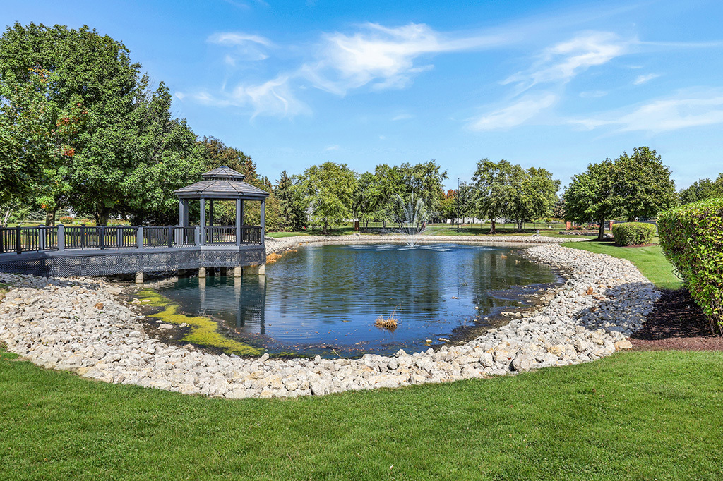 25226 Balmoral Drive