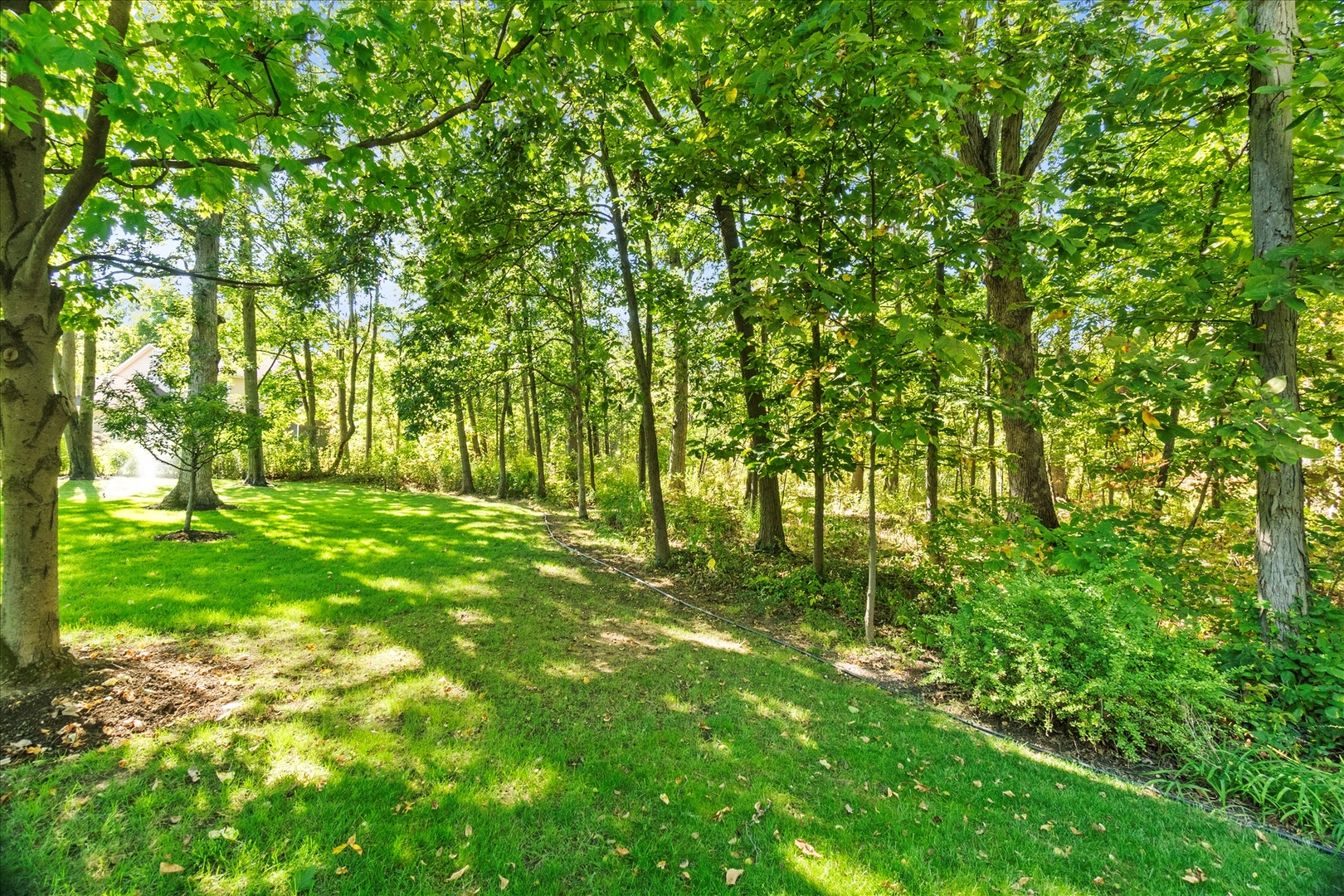 3540 Haweswood Court
