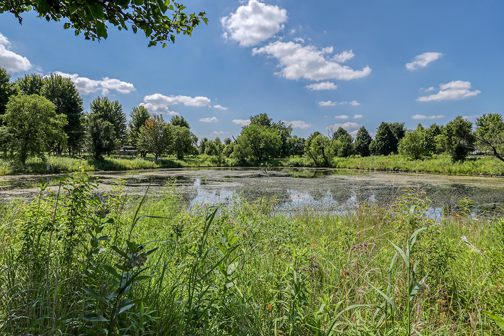18106 Waterside Circle