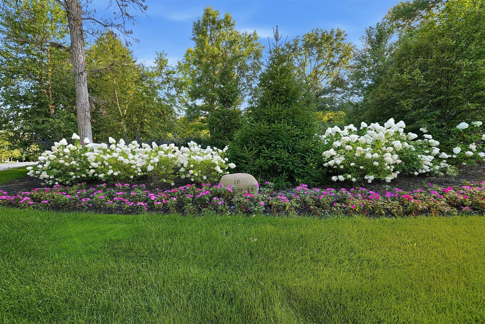 16 Riva Ridge