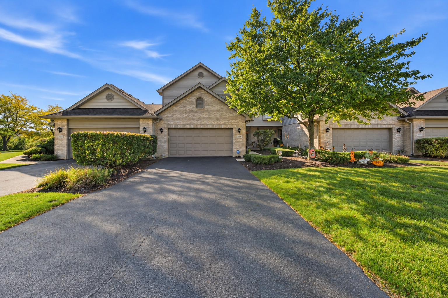 1169 Amber Drive Lemont Il Us 60439 Mrd12773219