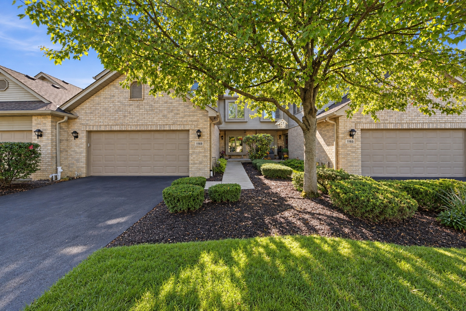 1169 Amber Drive