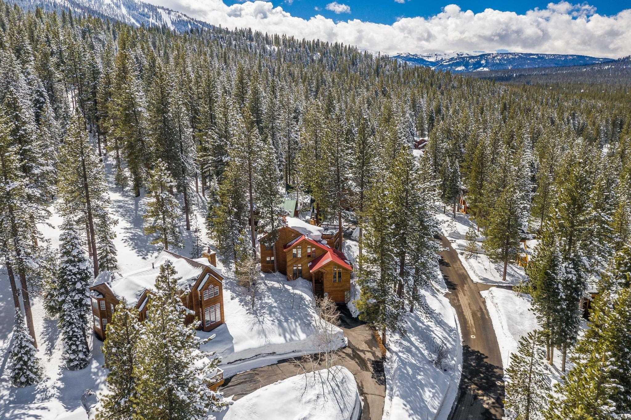 721 Conifer