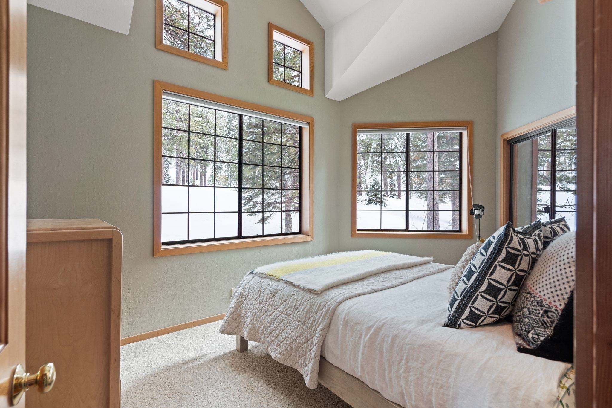 721 Conifer