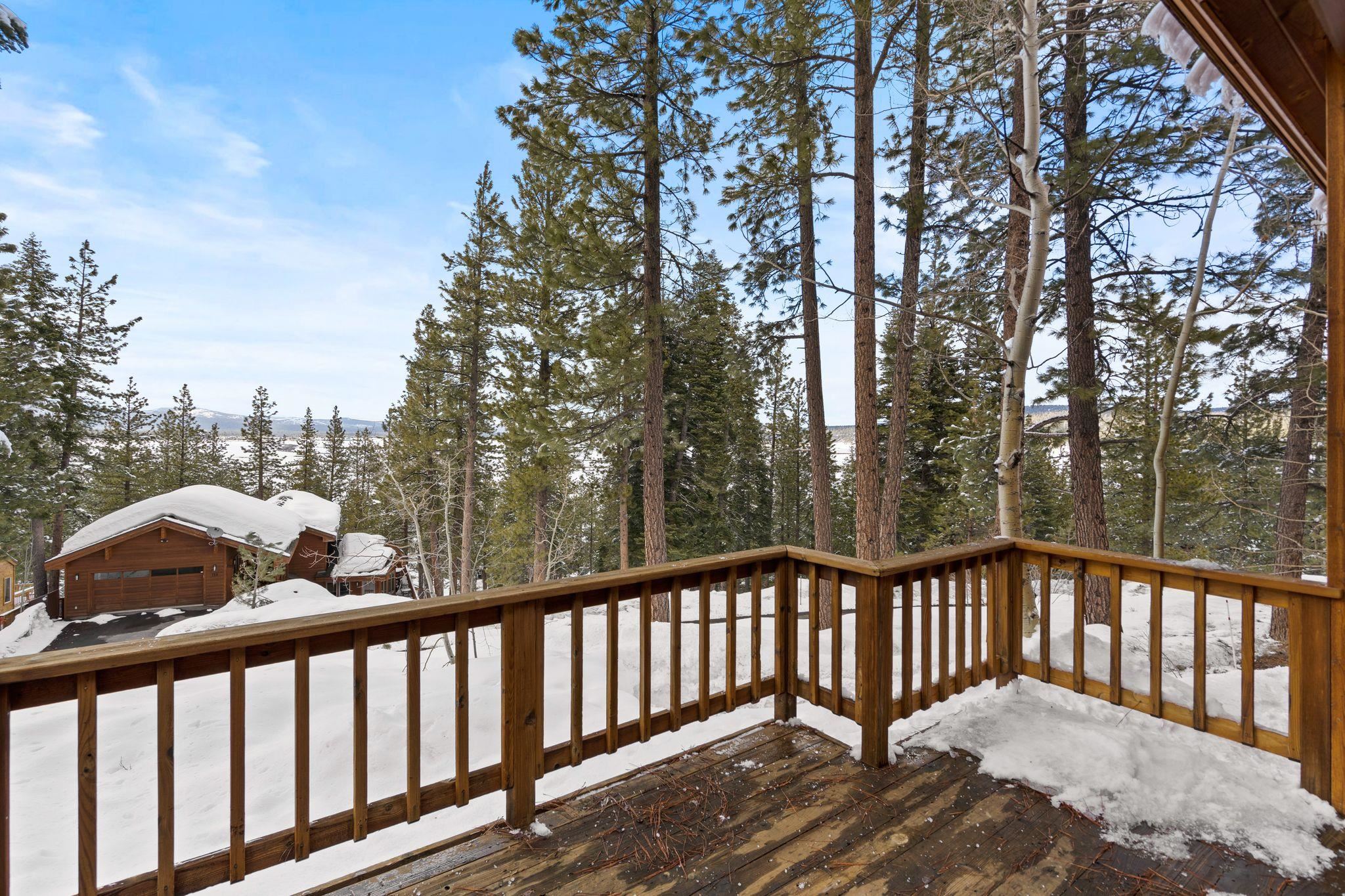 721 Conifer