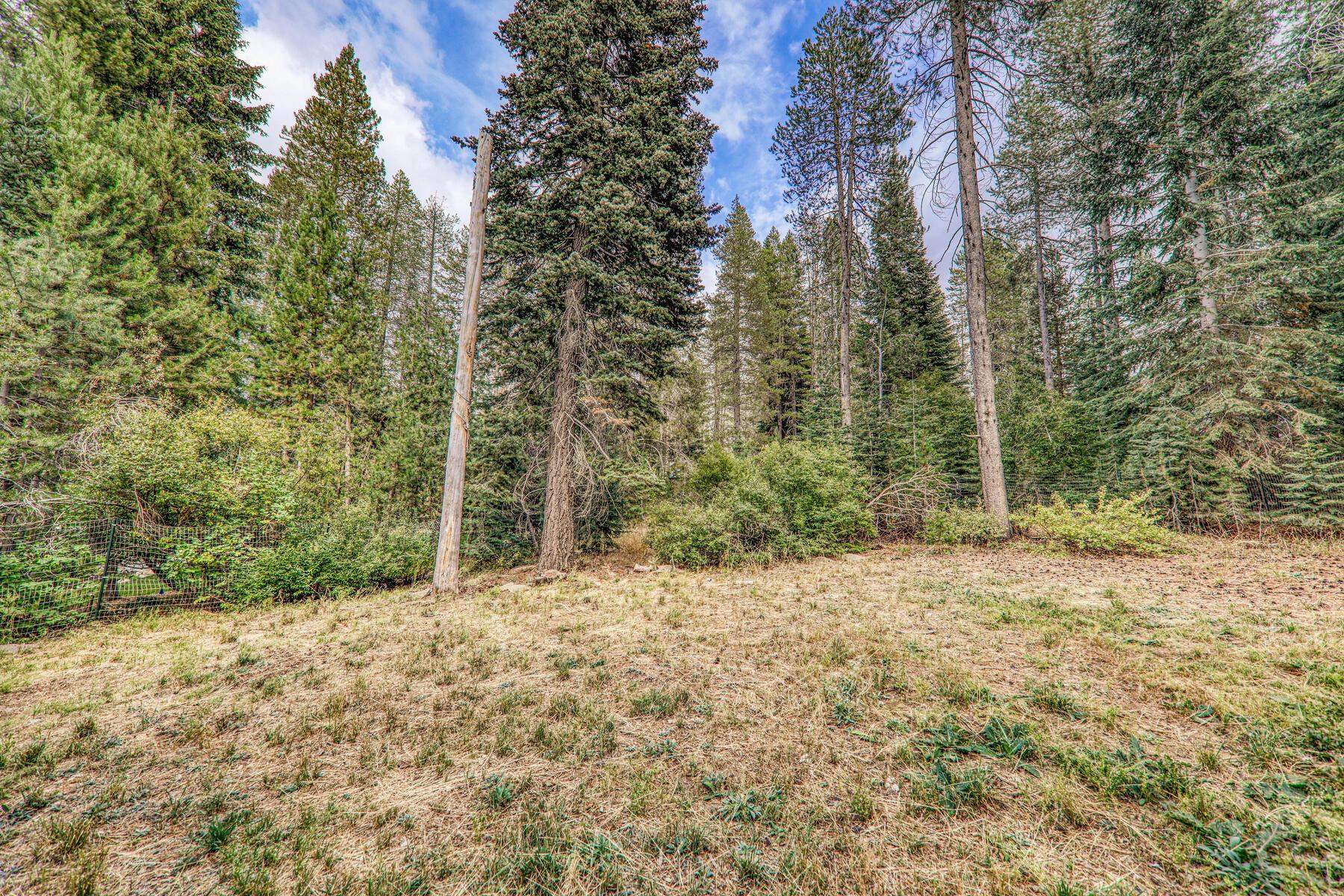 10037 E Alder Creek Road