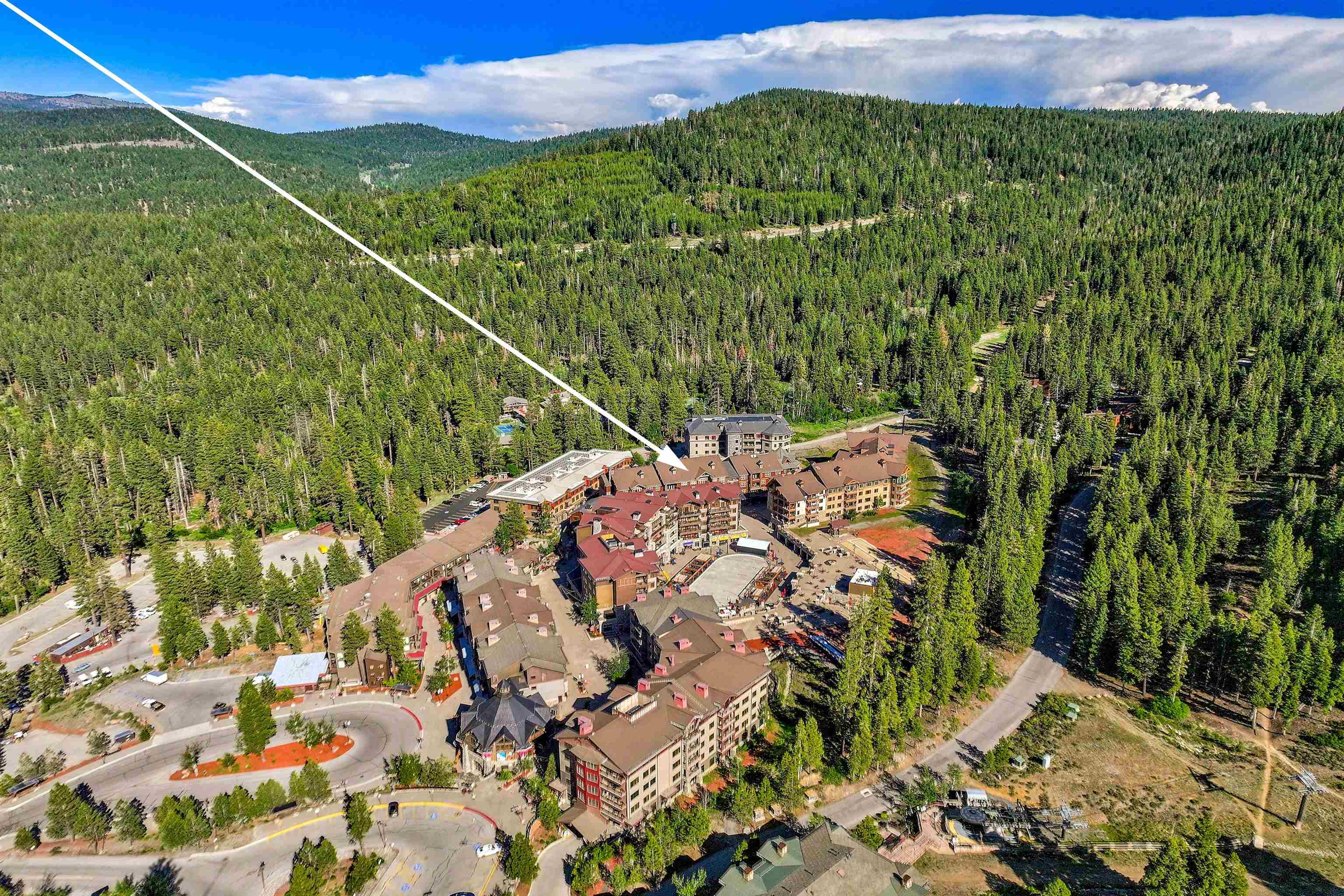 8001 Northstar Drive Unit: 101