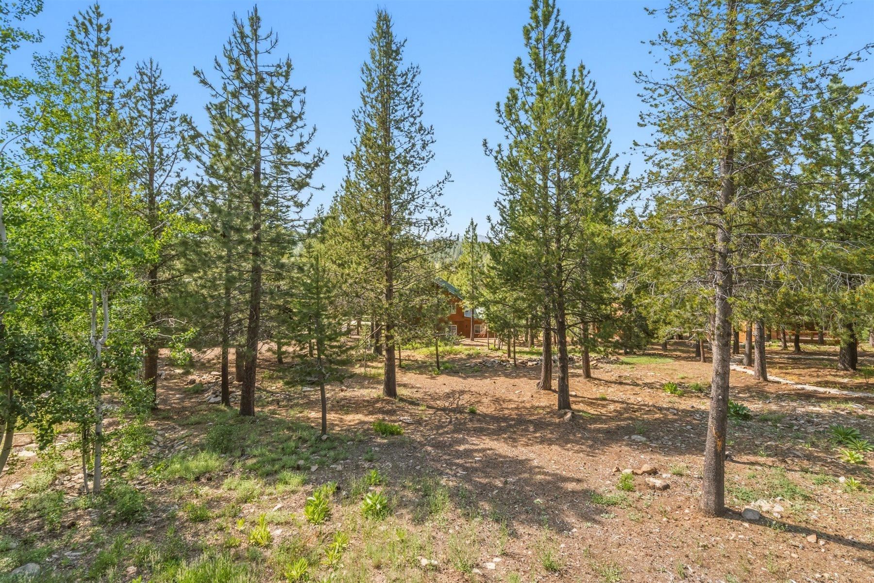 12434 Snowpeak Way