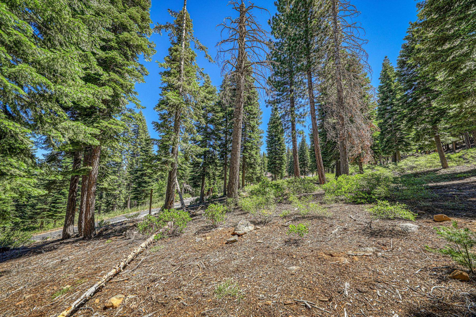 2620 Mill Site Road