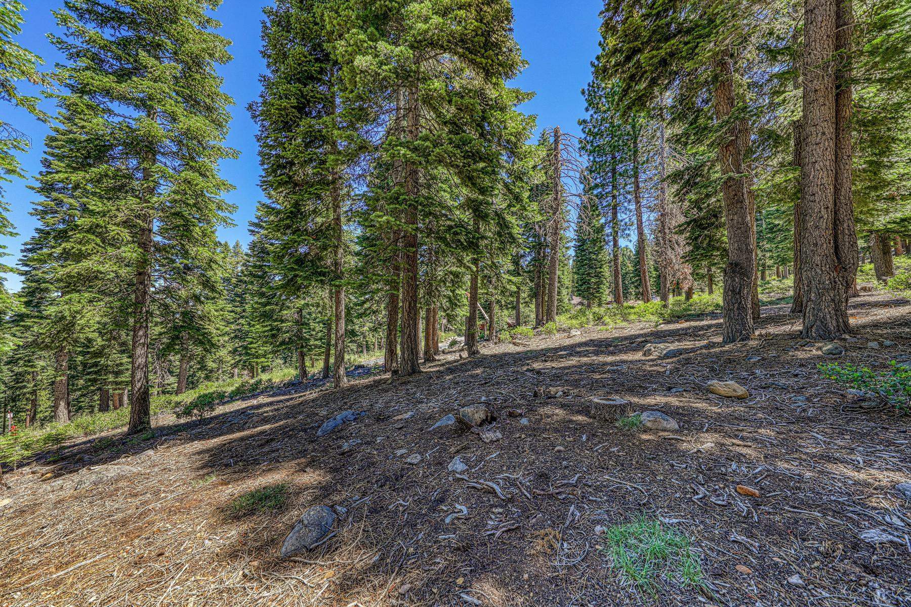 2620 Mill Site Road