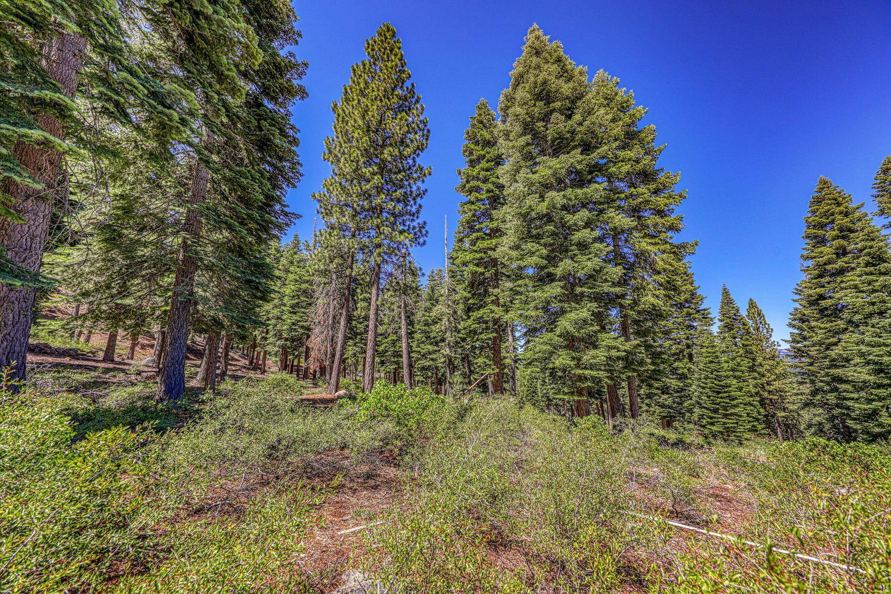 2620 Mill Site Road