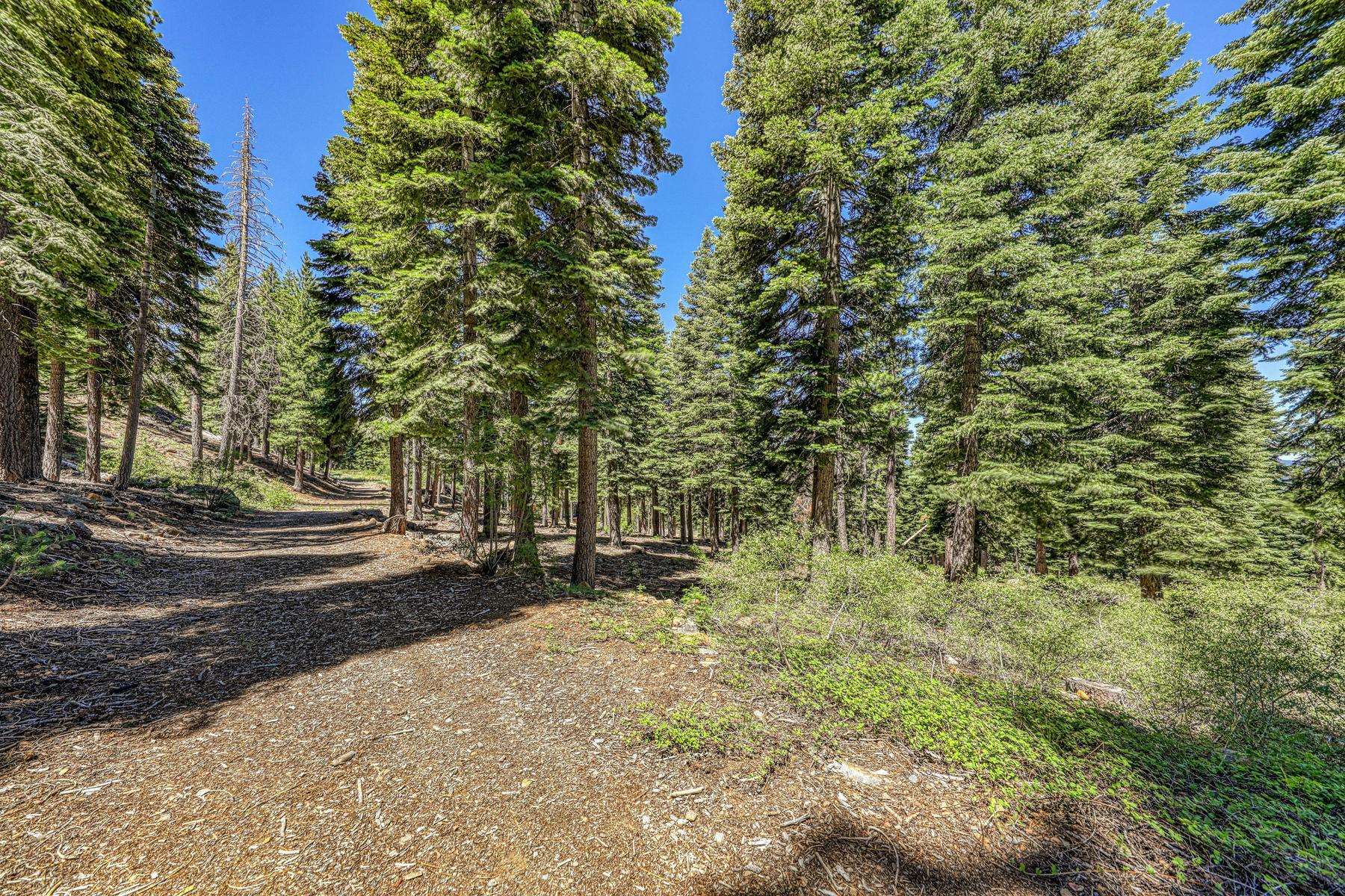 2620 Mill Site Road