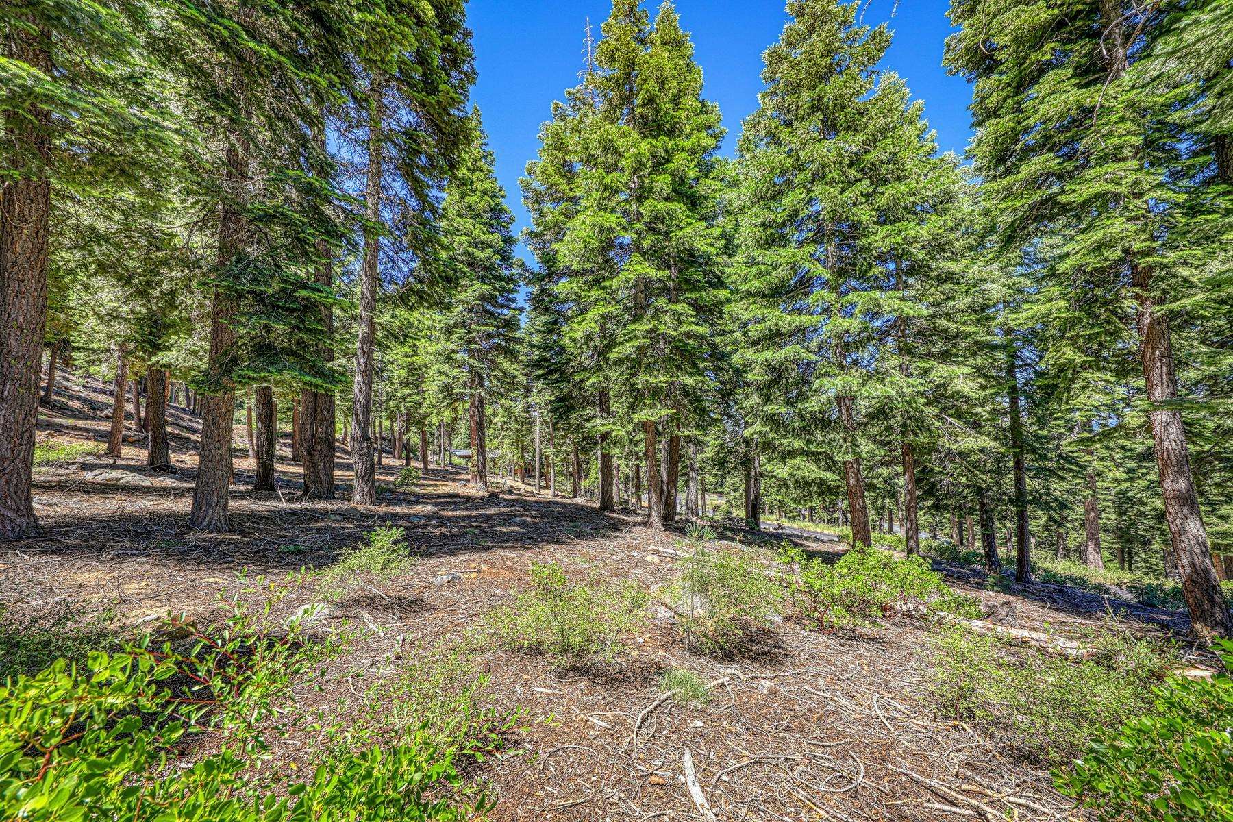 2620 Mill Site Road