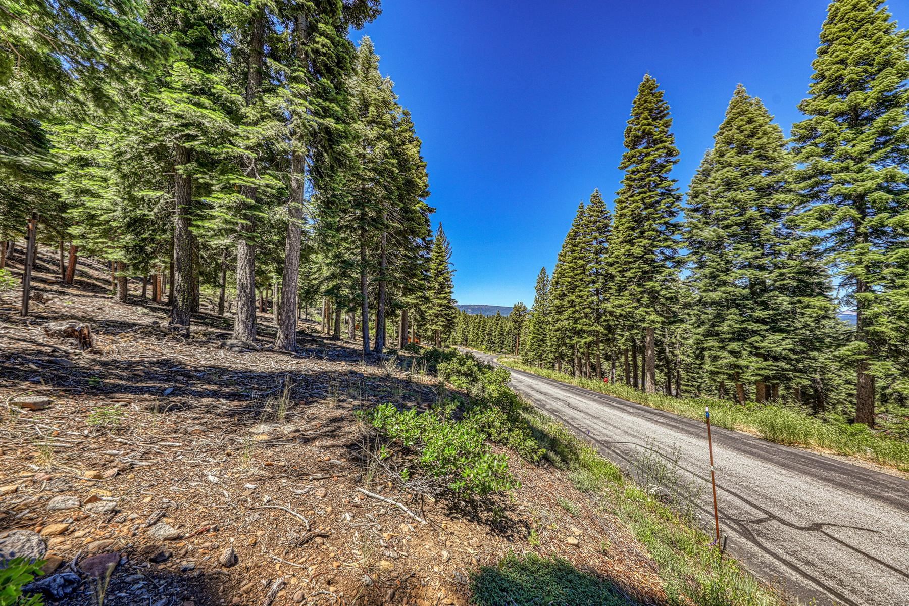 2620 Mill Site Road