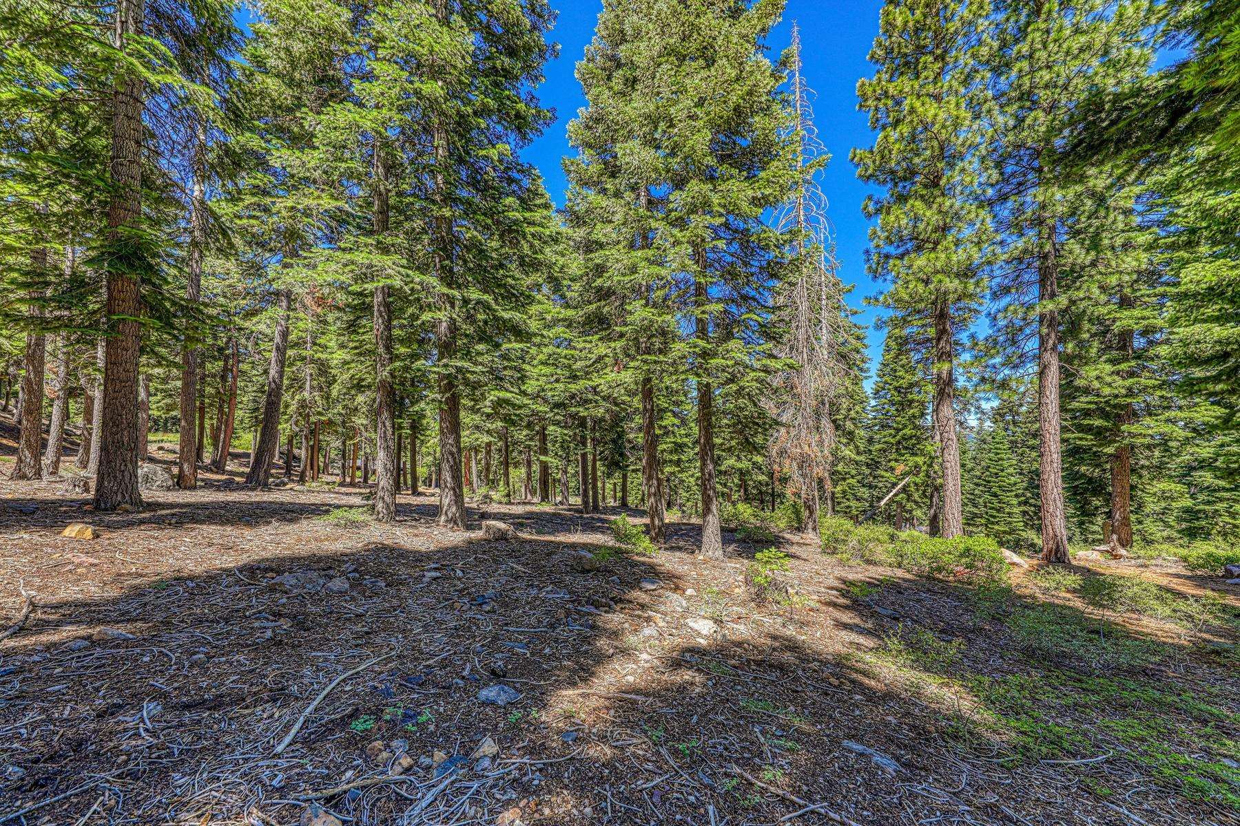 2620 Mill Site Road
