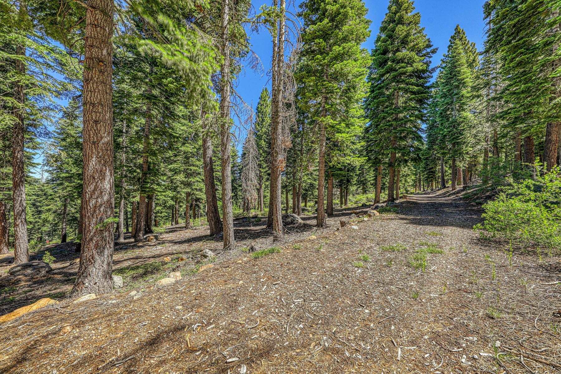 2620 Mill Site Road
