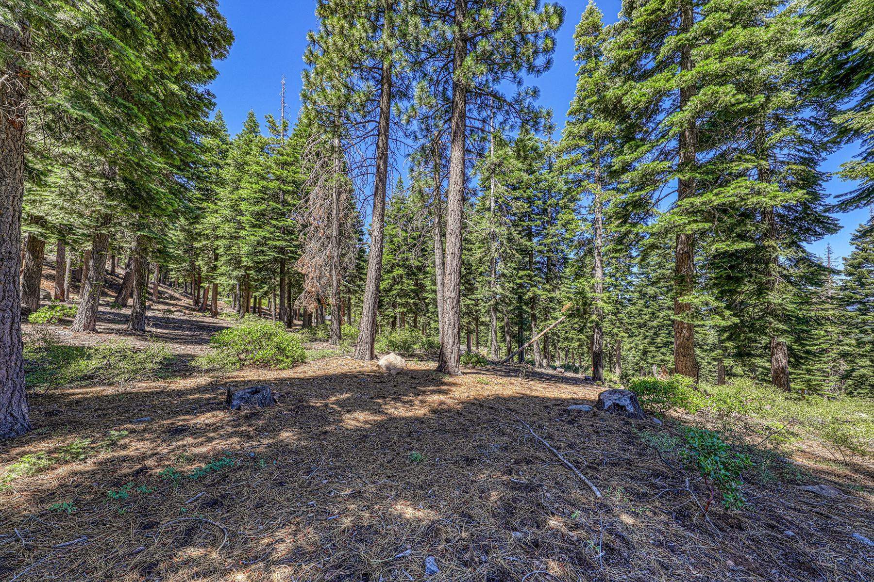2620 Mill Site Road