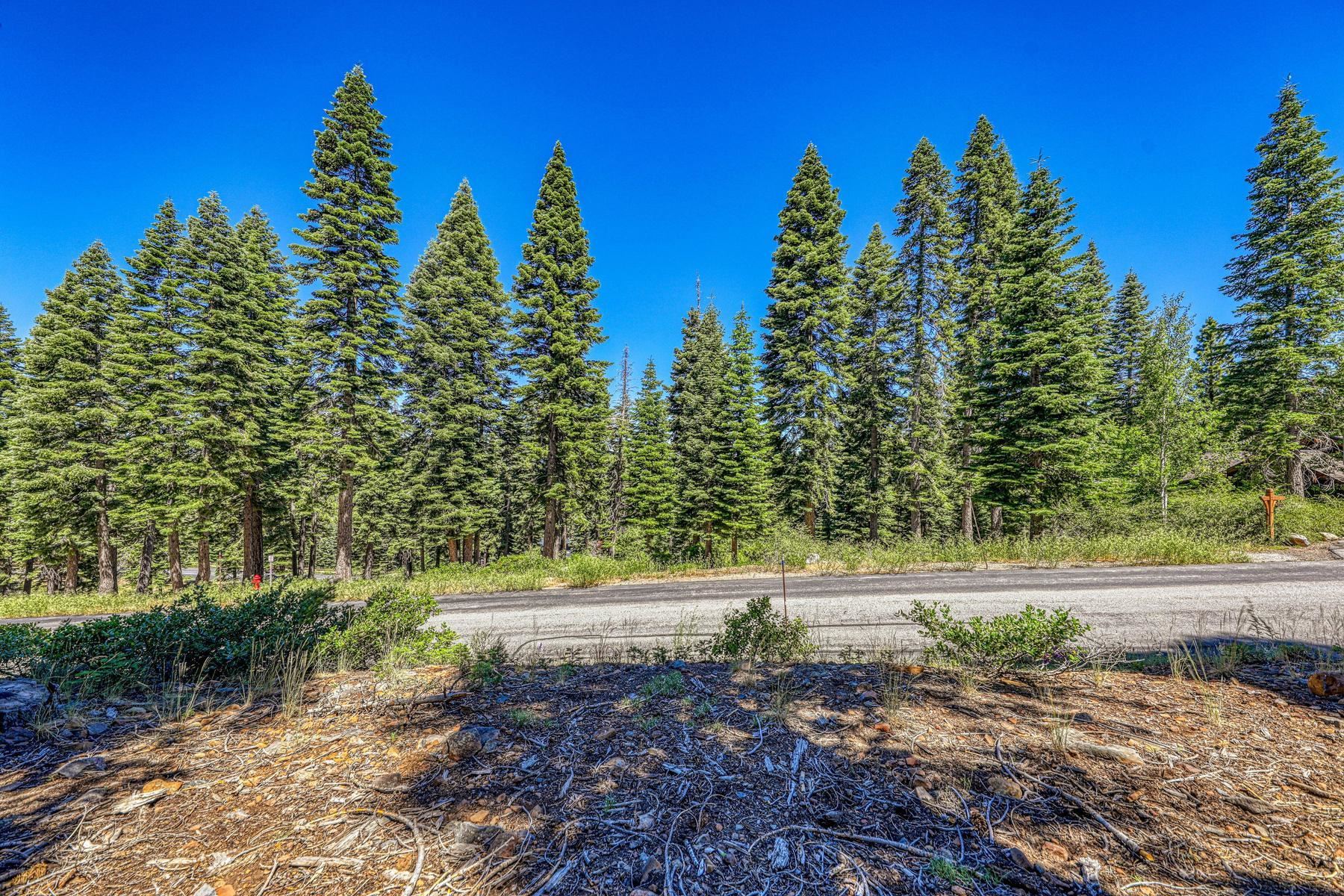 2620 Mill Site Road
