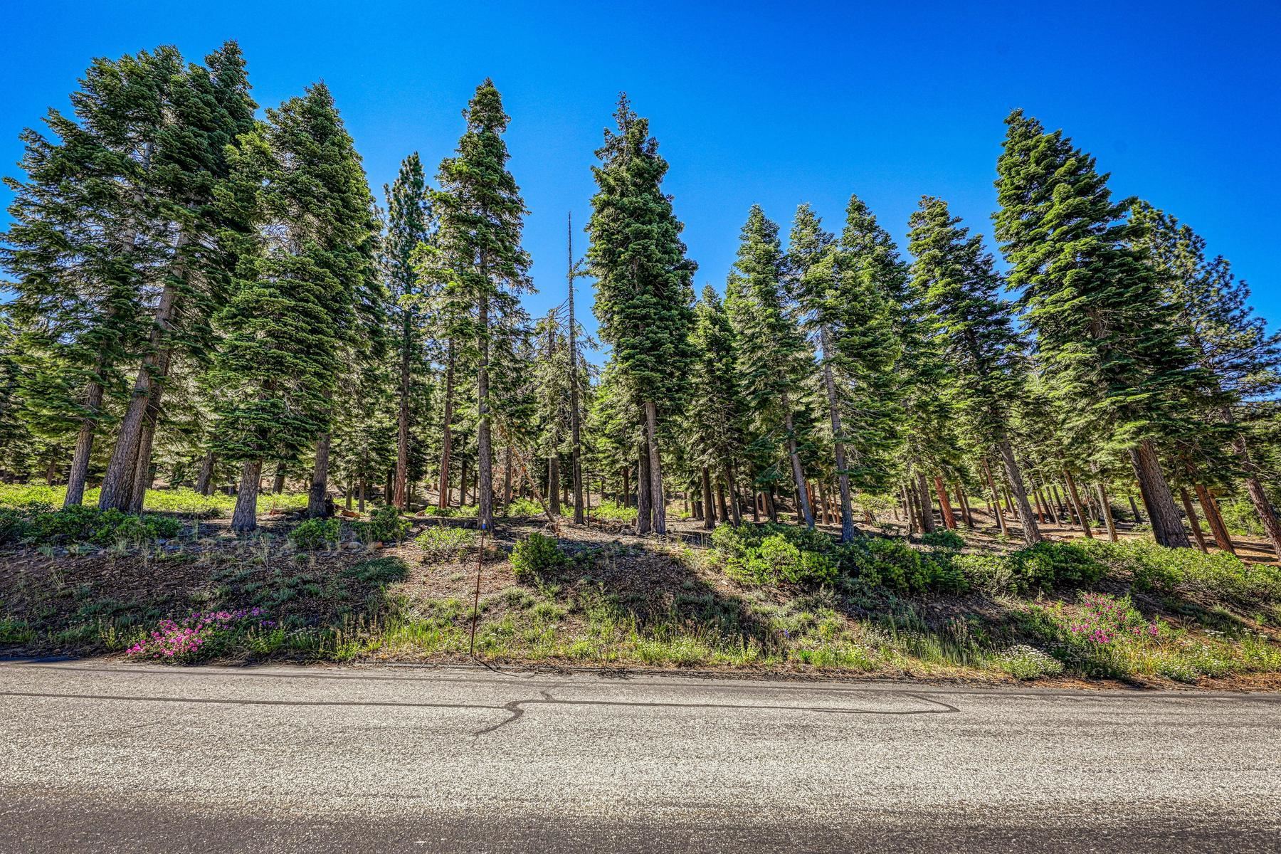 2620 Mill Site Road