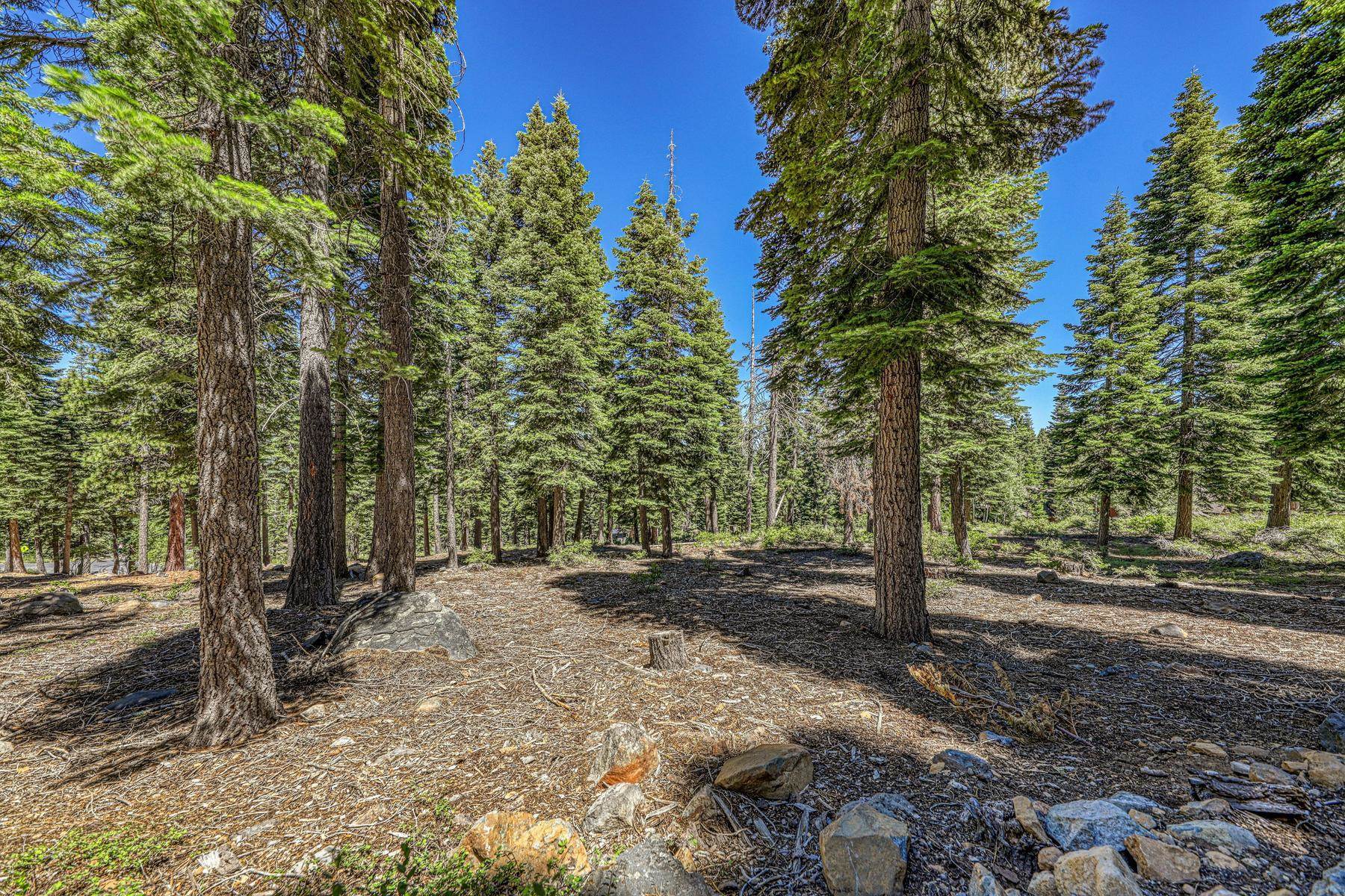 2620 Mill Site Road