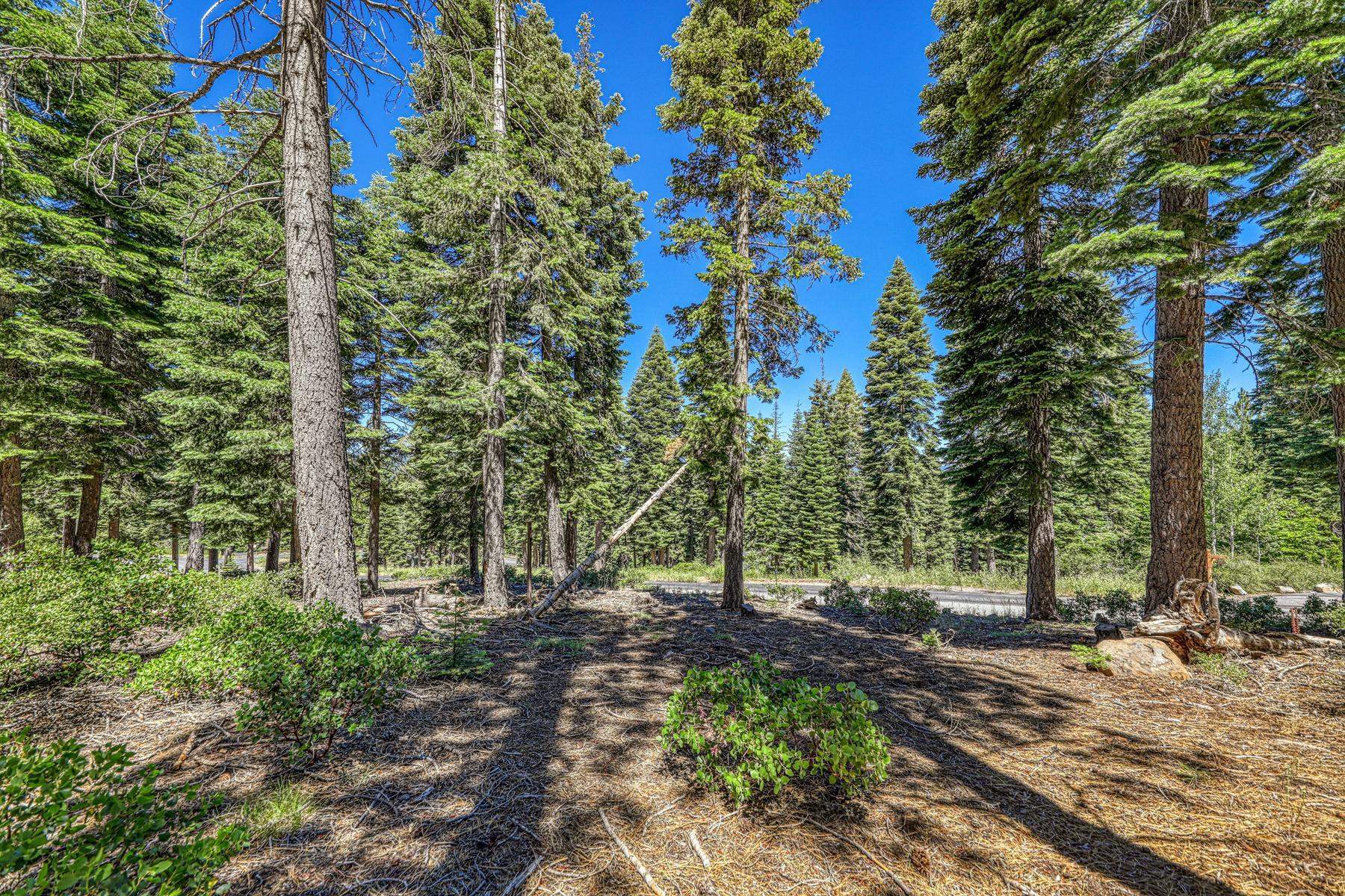 2620 Mill Site Road