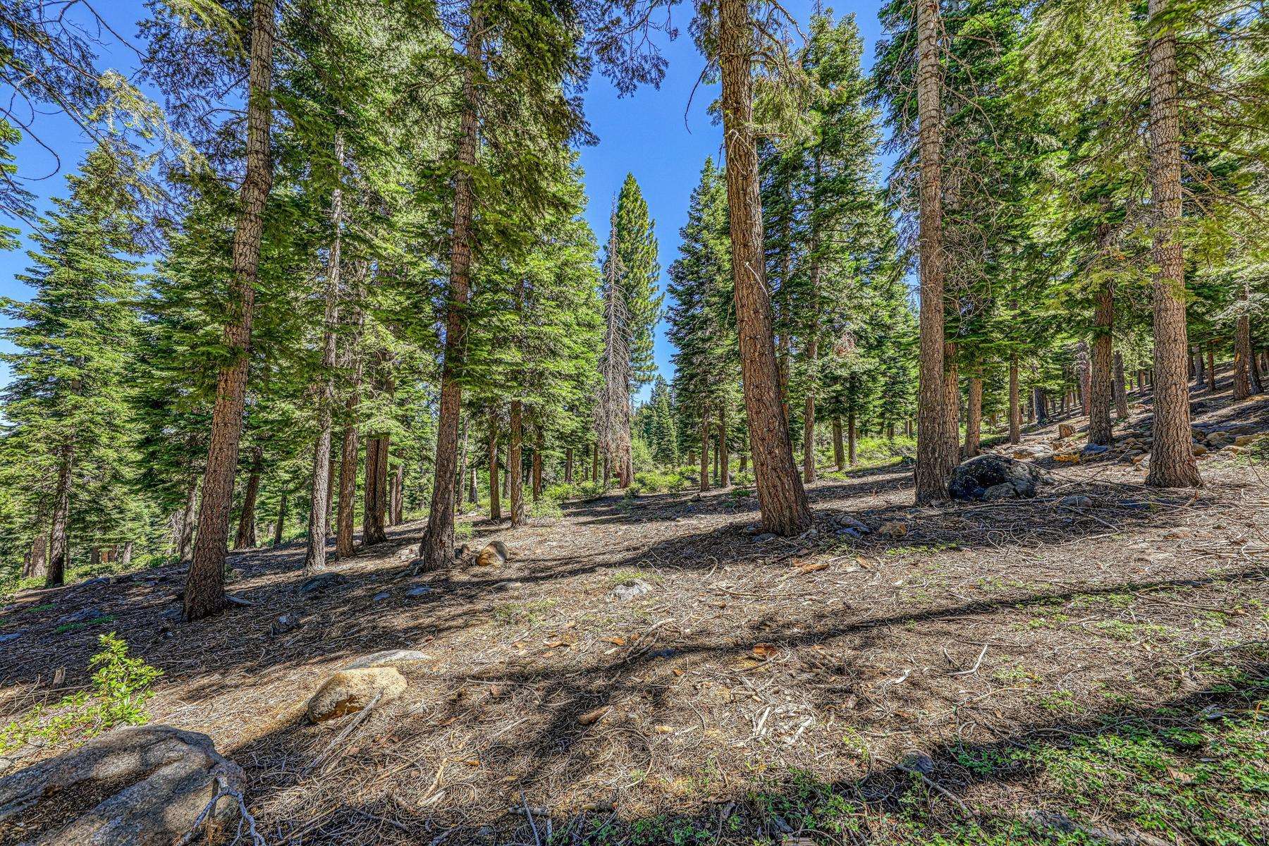 2620 Mill Site Road