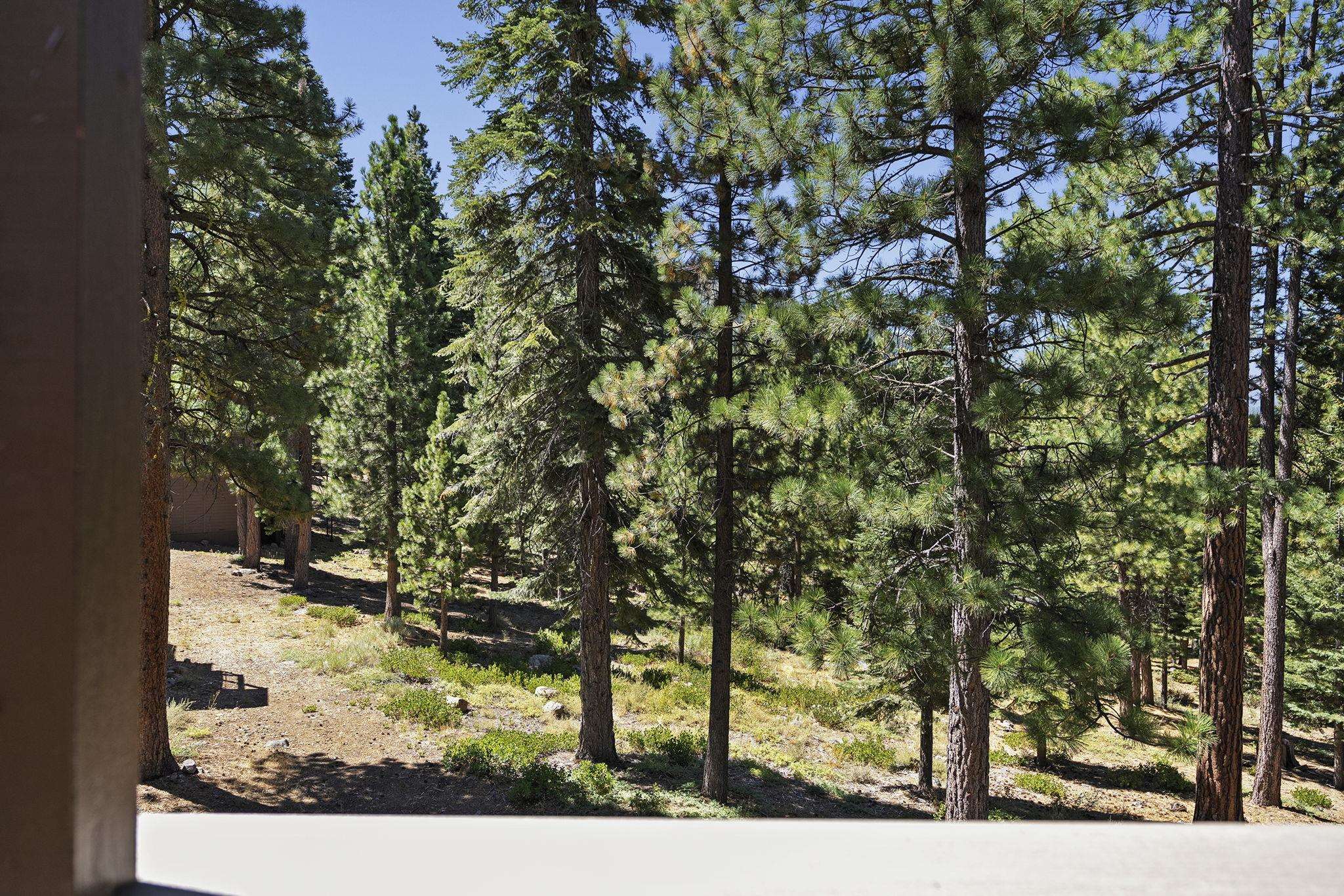 6024 Mill Camp