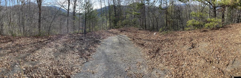 00 Laurel Branch Creek, Lots 1 & 51