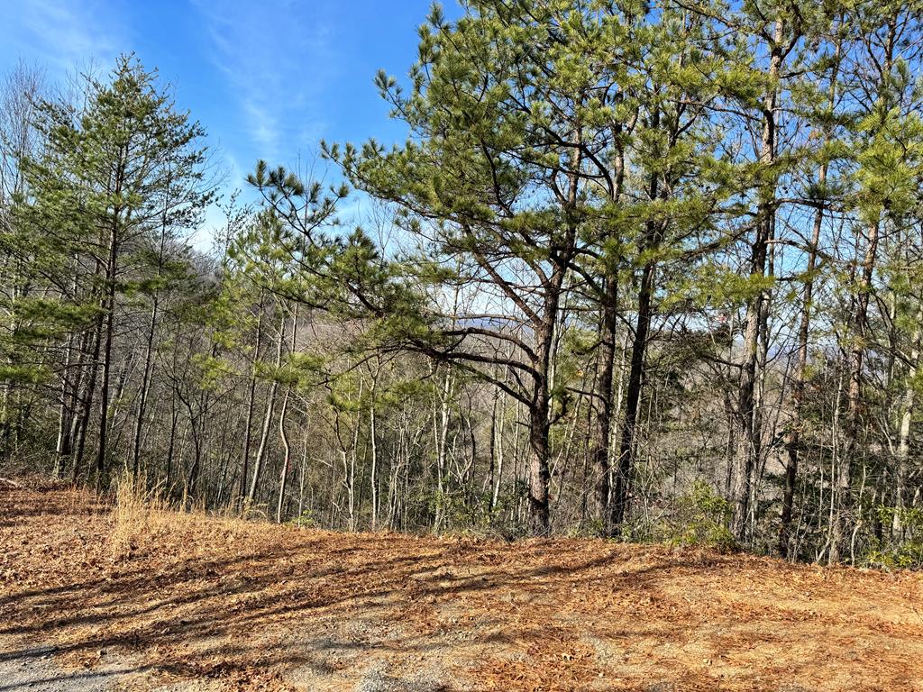 00 Laurel Branch Creek, Lots 1 & 51