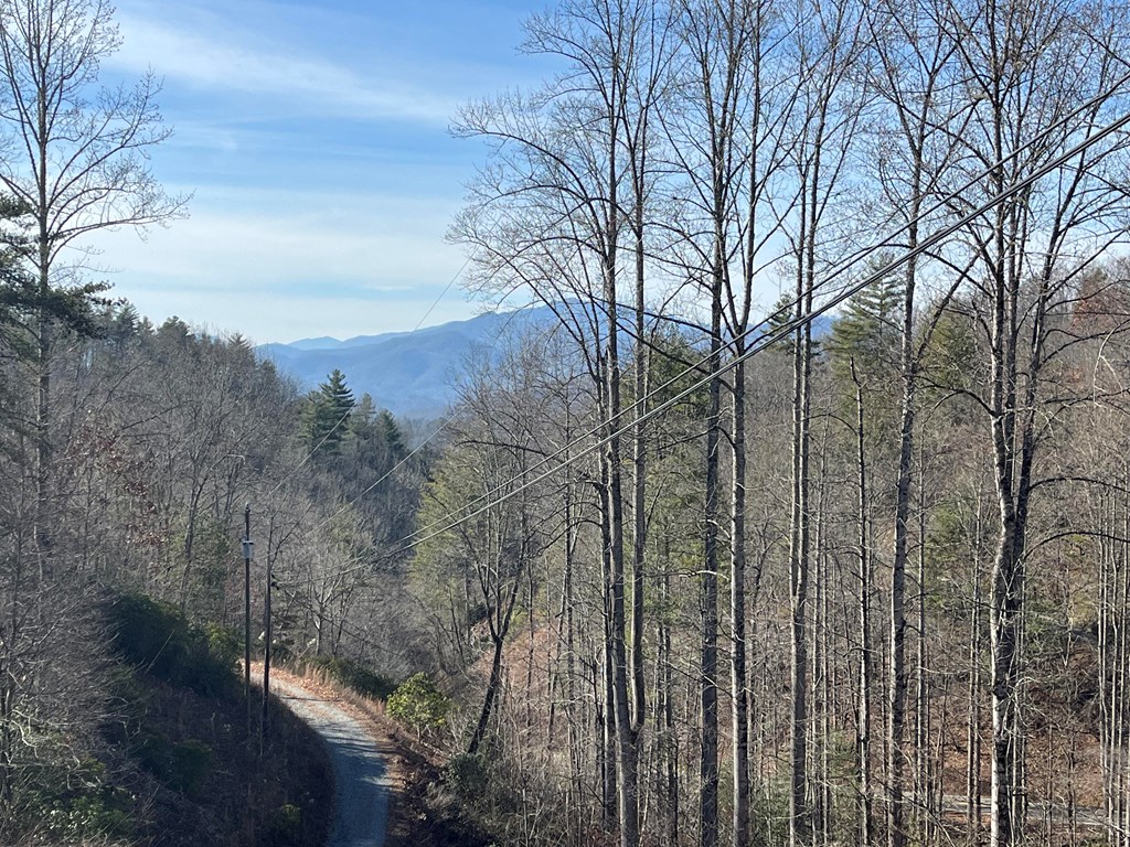 4742 Grassy Branch Road