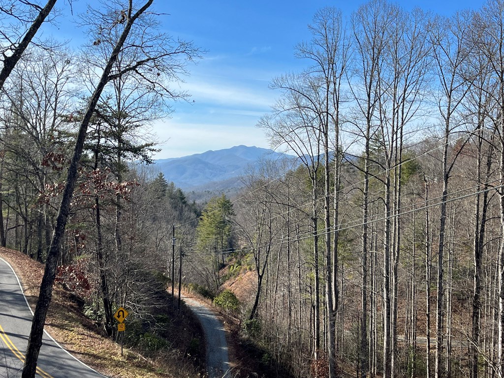 4742 Grassy Branch Road