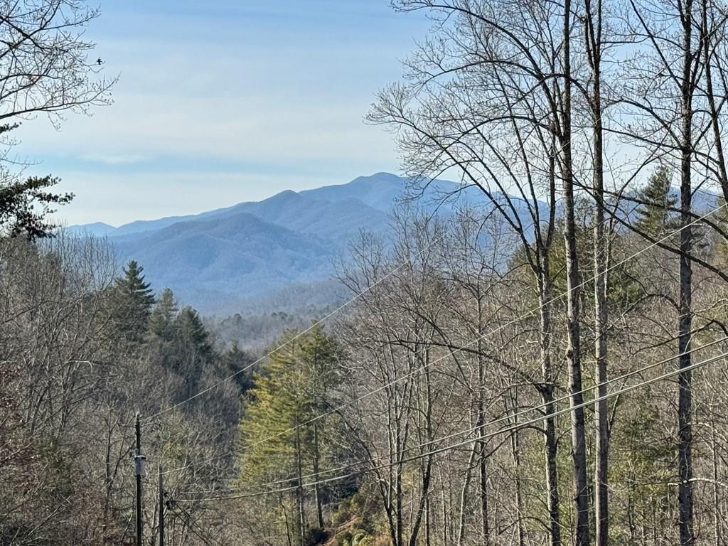 4742 Grassy Branch Road