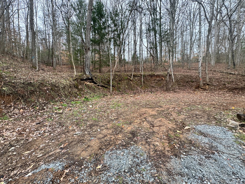 3109 Fulton Road-- Lot 2