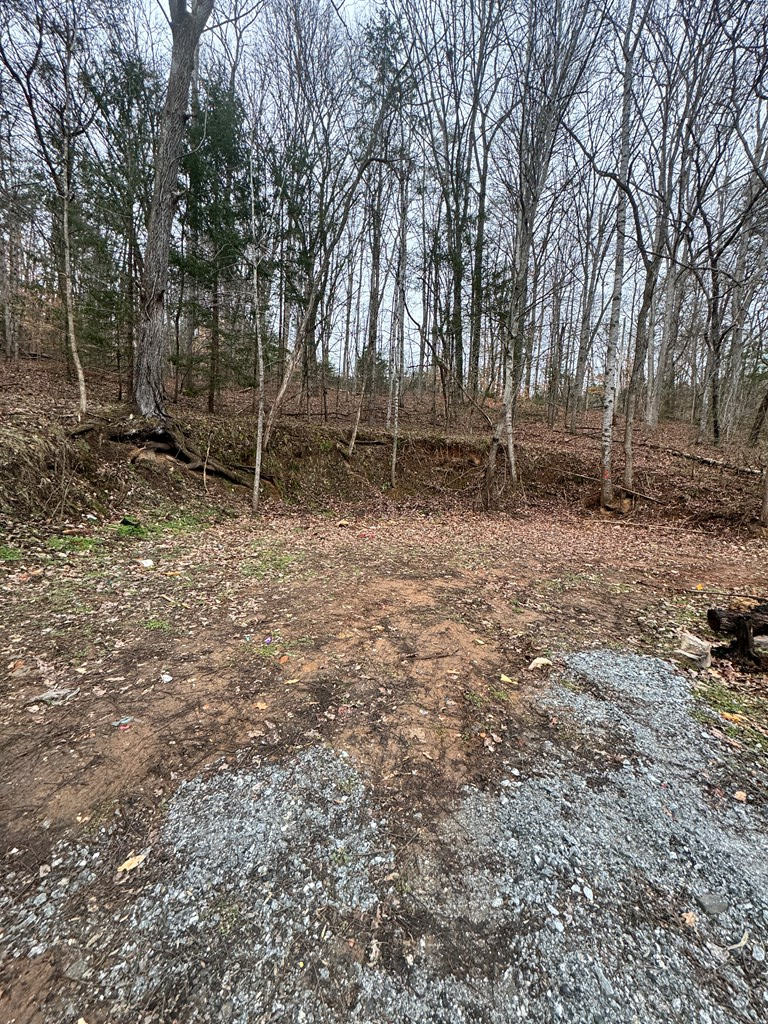 3109 Fulton Road-- Lot 2