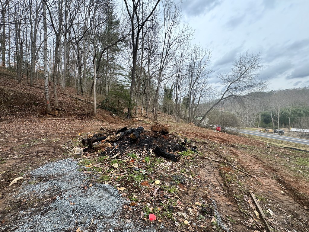 3109 Fulton Road-Lot 1