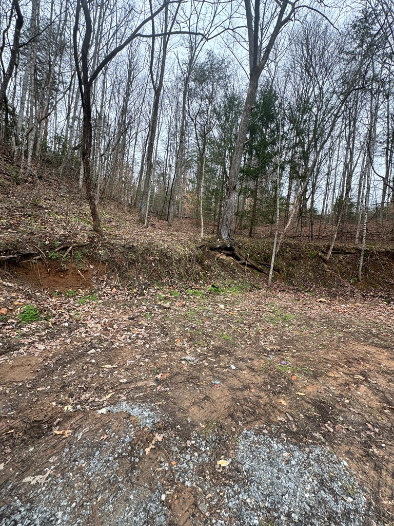 3109 Fulton Road-Lot 1
