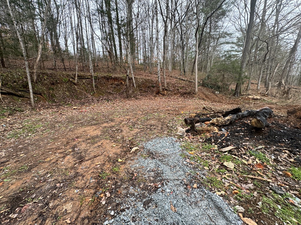 3109 Fulton Road-Lot 1