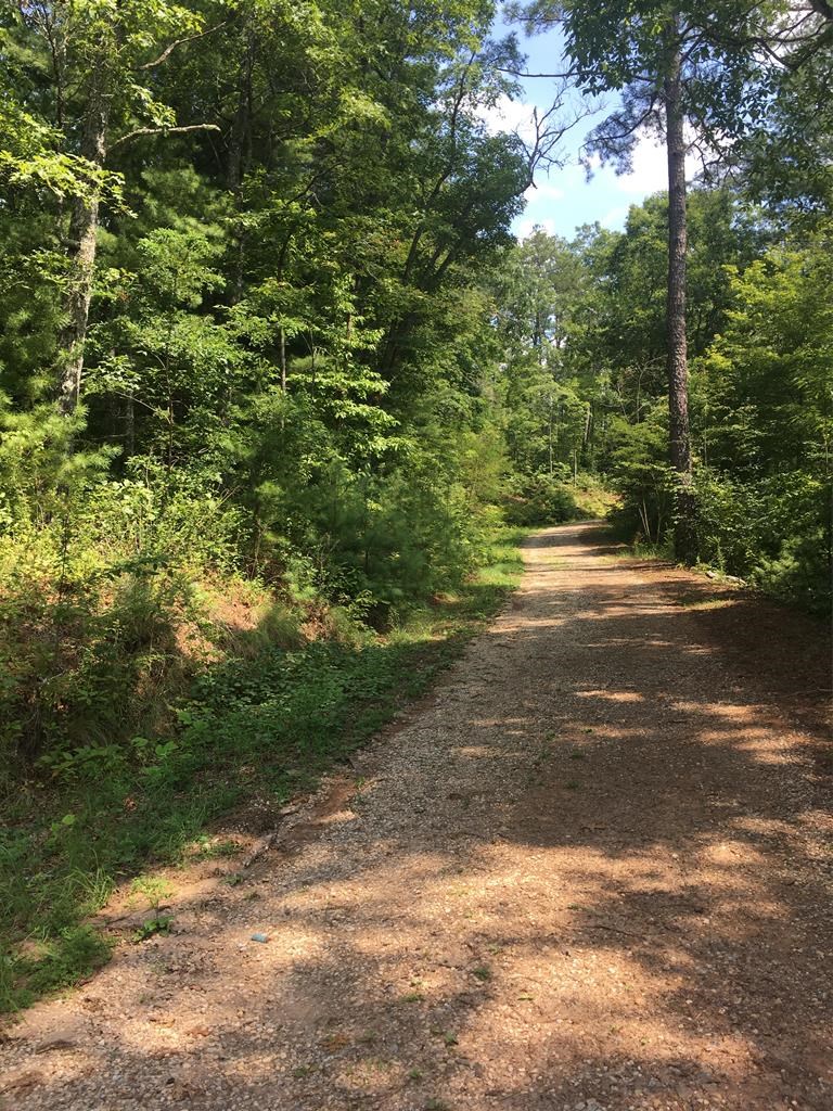Lot 1A Laurel Creek - Round Hill Rd