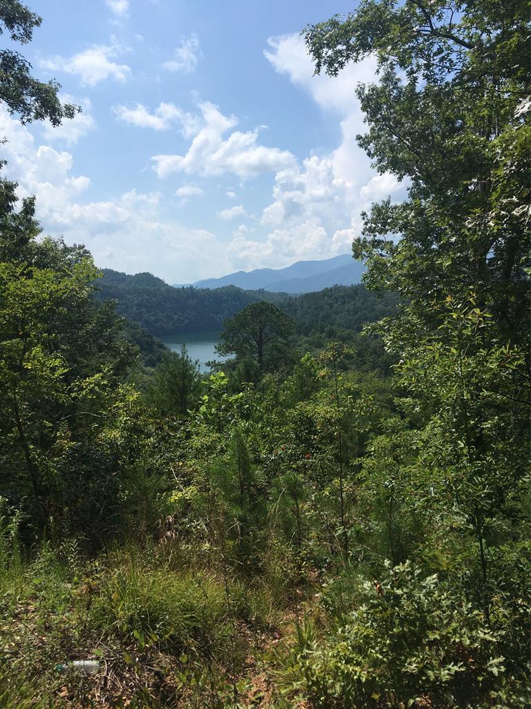 Lot 1A Laurel Creek - Round Hill Rd