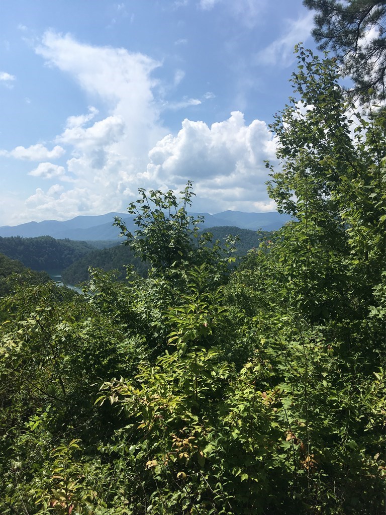 Lot 1A Laurel Creek - Round Hill Rd