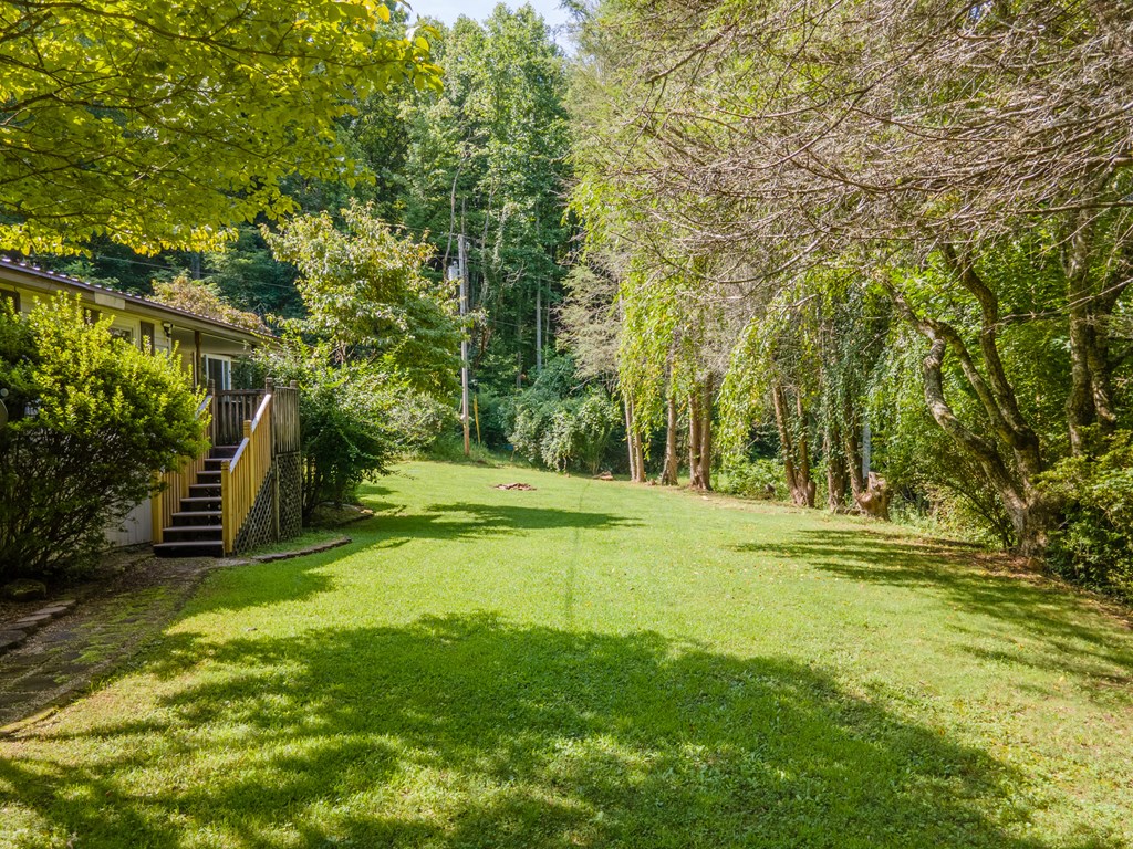 230 Collins Branch Road