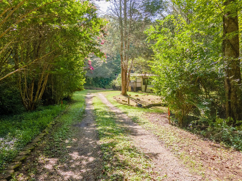 230 Collins Branch Road