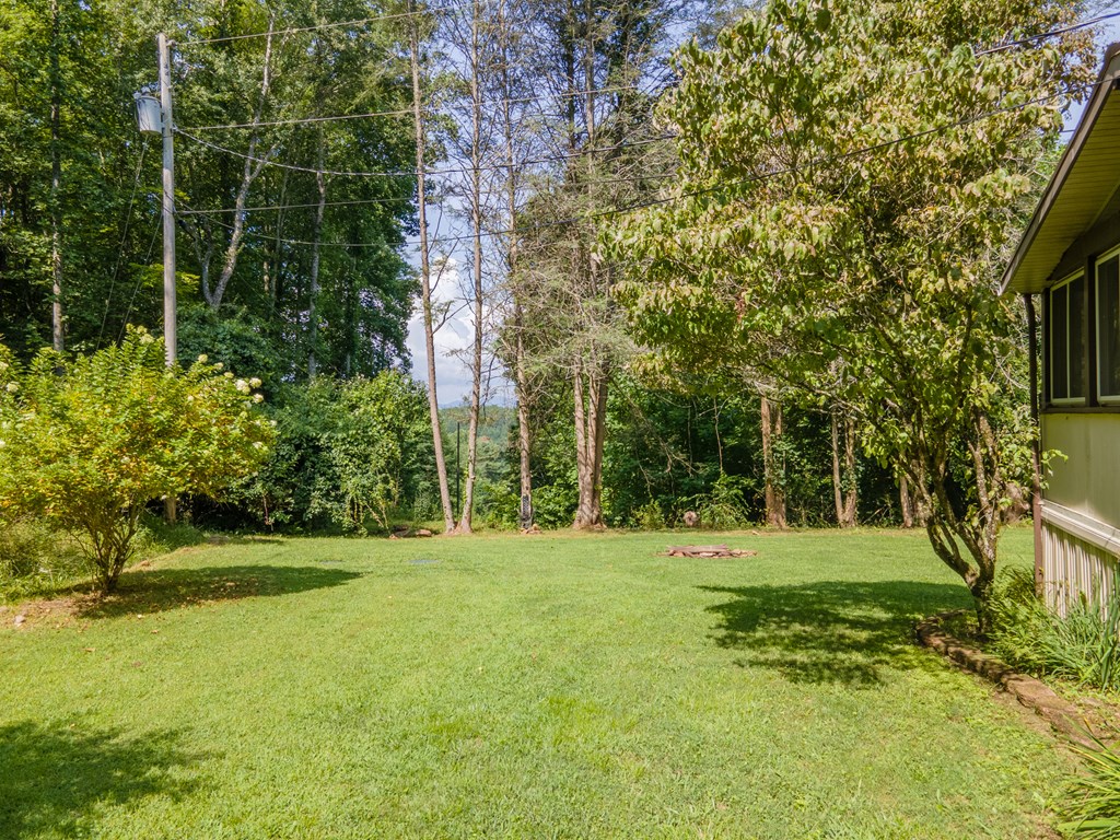 230 Collins Branch Road