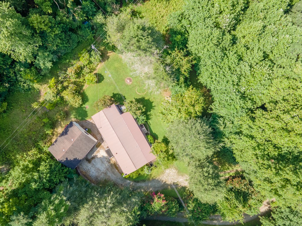 230 Collins Branch Road