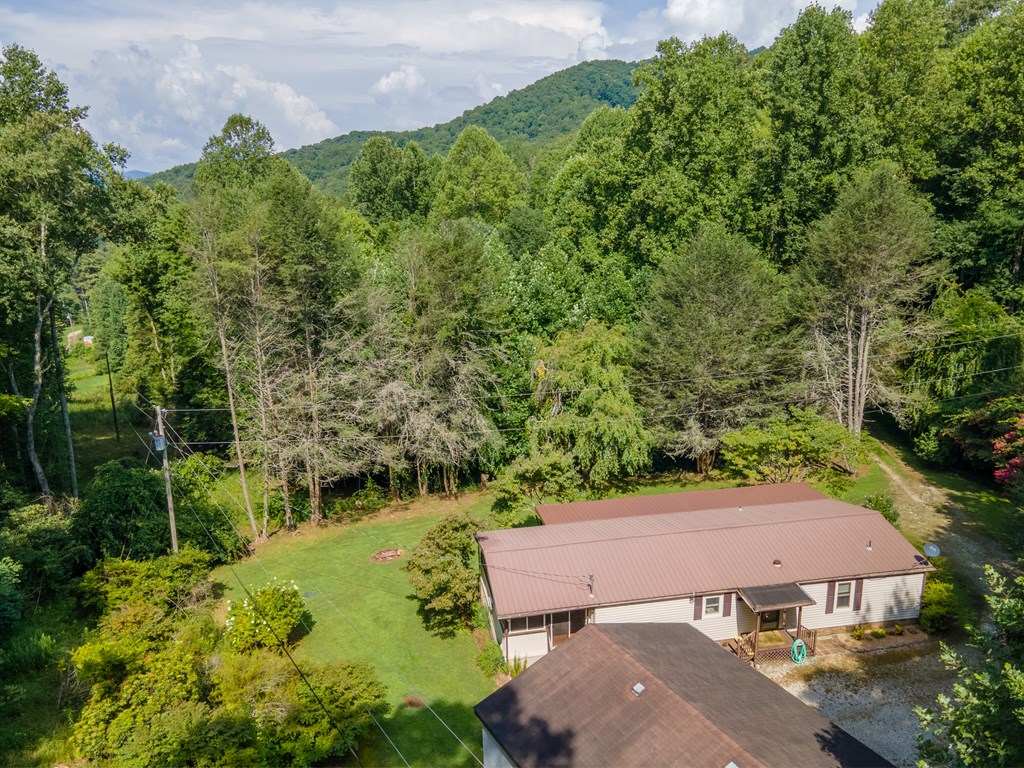 230 Collins Branch Road