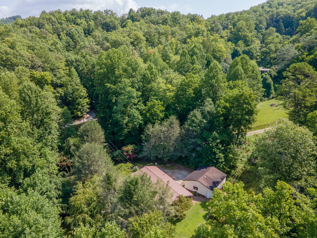 230 Collins Branch Road