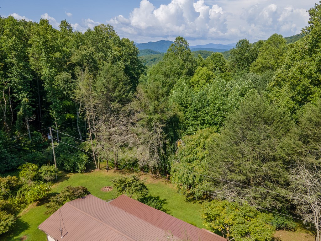 230 Collins Branch Road