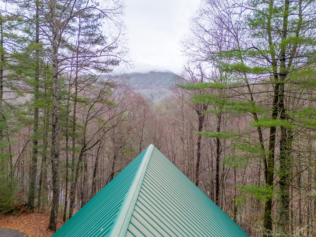 264 Little Laurel Creek Road
