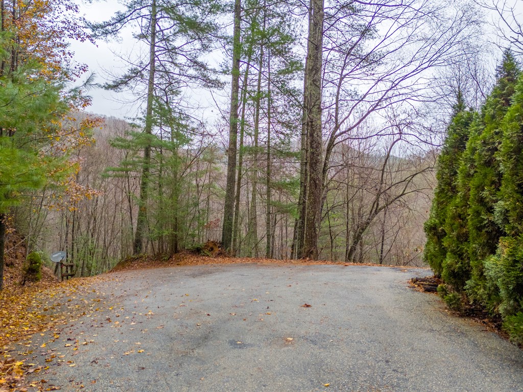 264 Little Laurel Creek Road