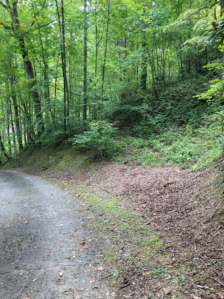 0 Laurel Dr